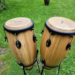 2.	2 Congas mit Bodenständern und Originalverpackung 