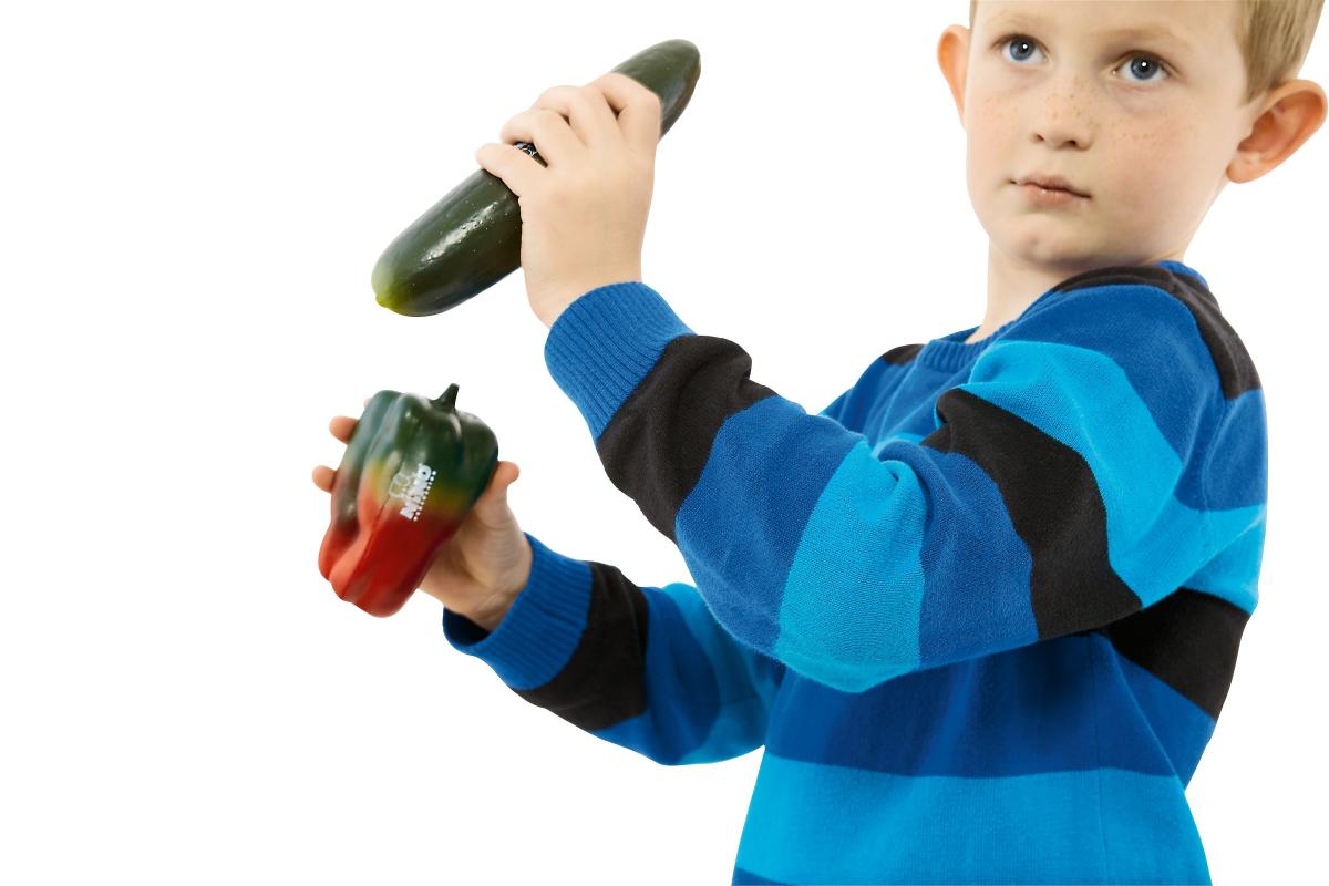 NINOSET101 Botany-Shaker-Set Gemüse 4-teilig
