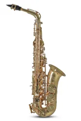 Alt-Saxophon AS650