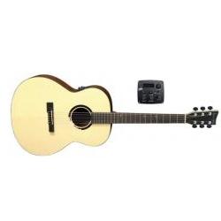 E-Akustikgitarre BR-30-E Belle-Rose