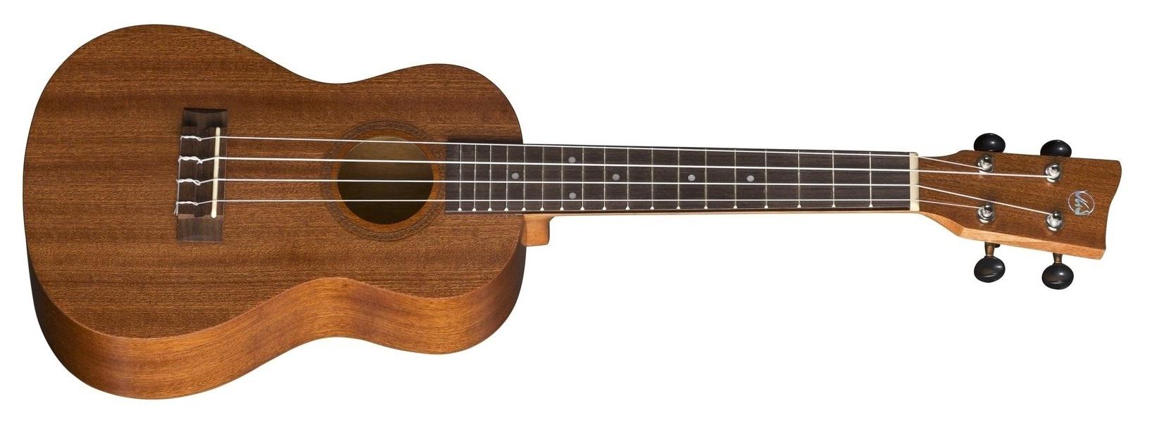 Manoa-Kaleo K-CO Concert-Ukulele
