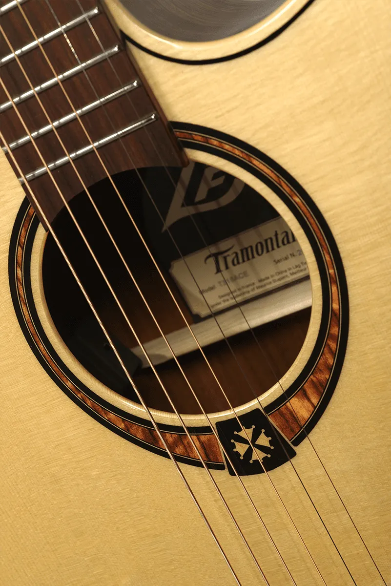 Tramontane 318 ACE Auditorium