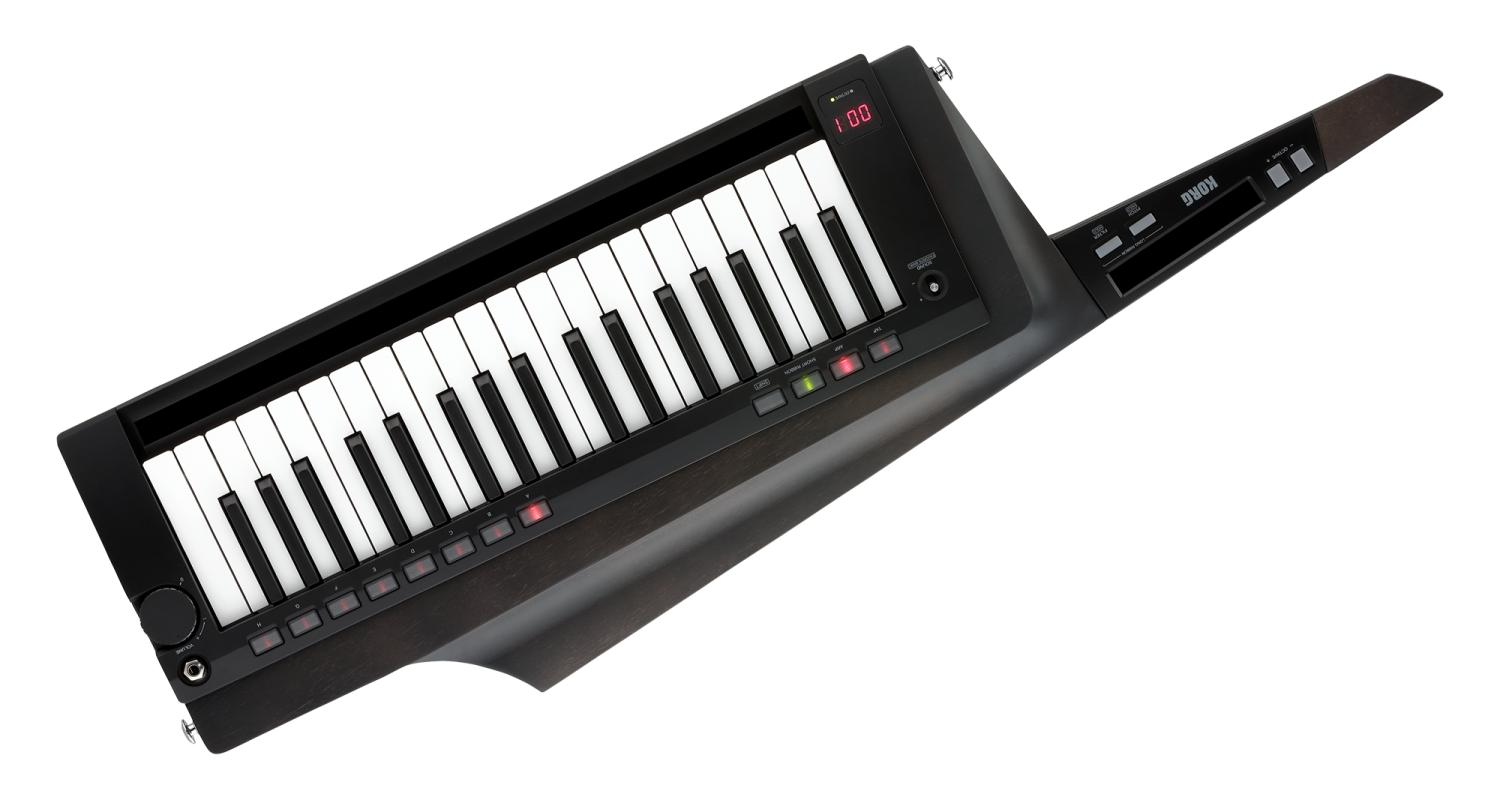 Keytar RK-100S2 schwarz