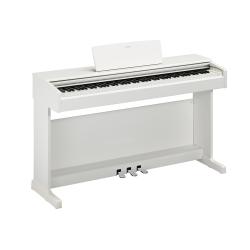 Arius YDP145 Weiss