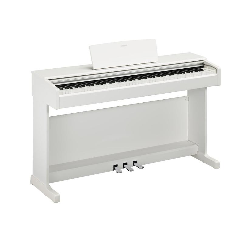 Arius YDP145 Weiss