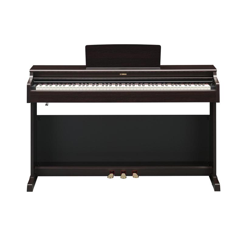 Arius YDP165R Palisander