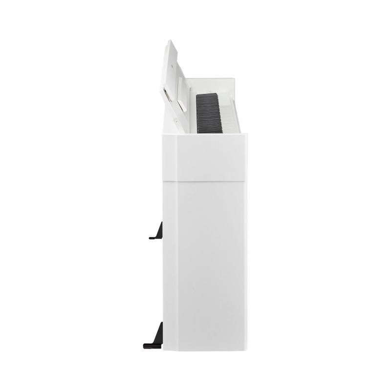 YDP-S55WH Arius