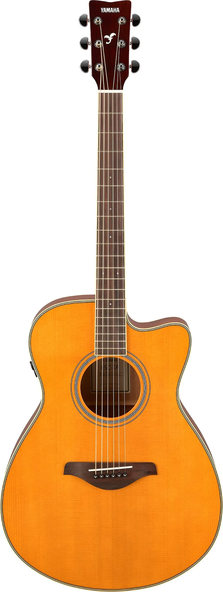 FSC-TA Vintage Tint