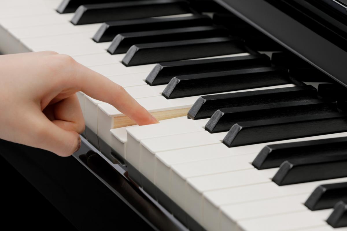 CA-901EP Premium Digitalpiano