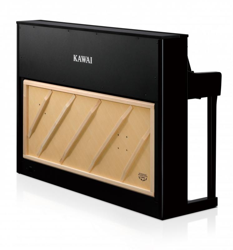 CA-901EP Premium Digitalpiano