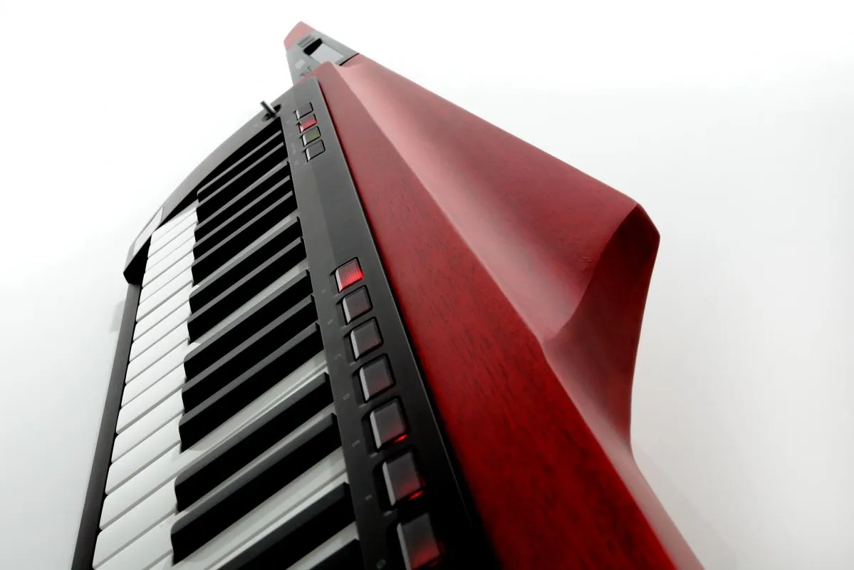 Keytar RK-100S2 rot B-Ware