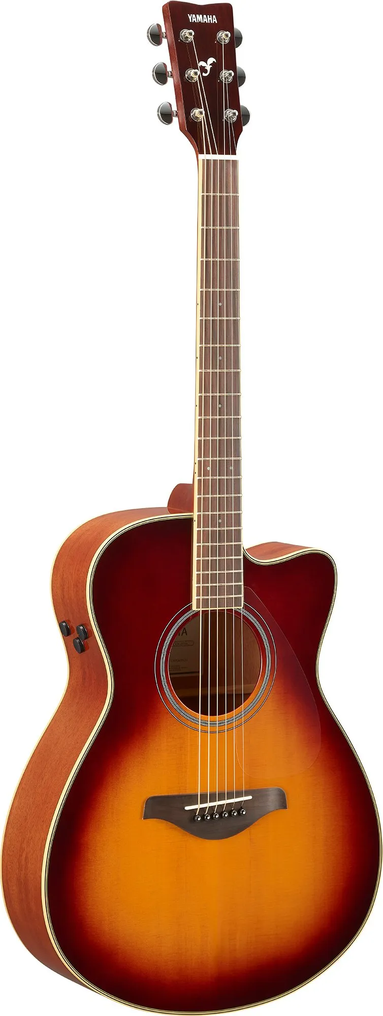 FSC-TA Brown-Sunburst