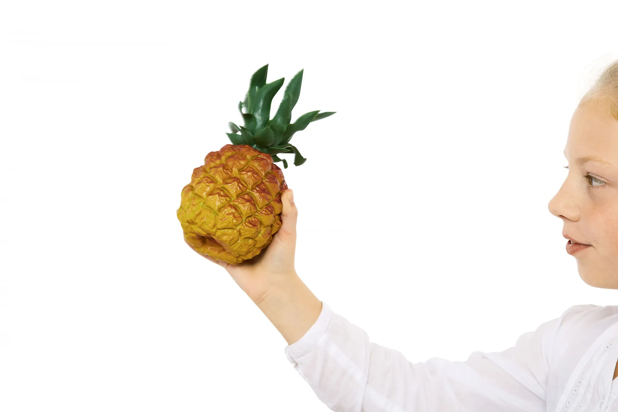 Pineapple-Shaker Ananas