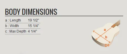 PCBE12-OPN Akustikbass