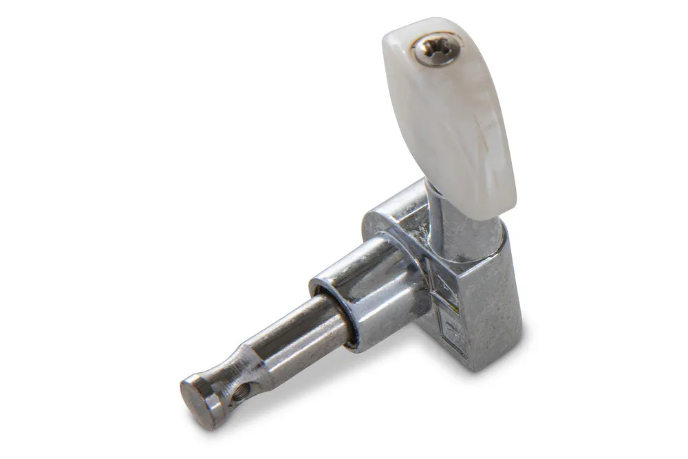 Mechanik Akustik und E-Gitarre