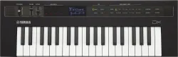Reface DX B-Ware
