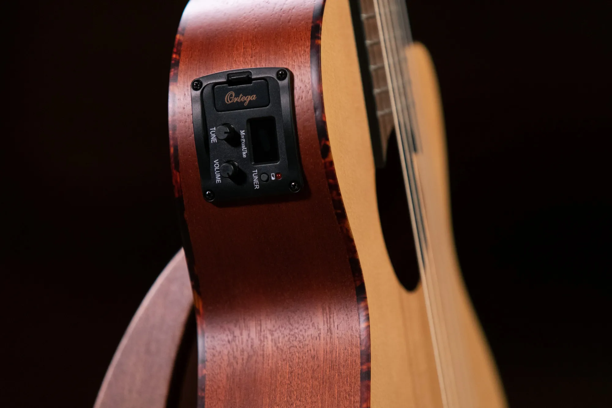 RGL5CE Guitarlele