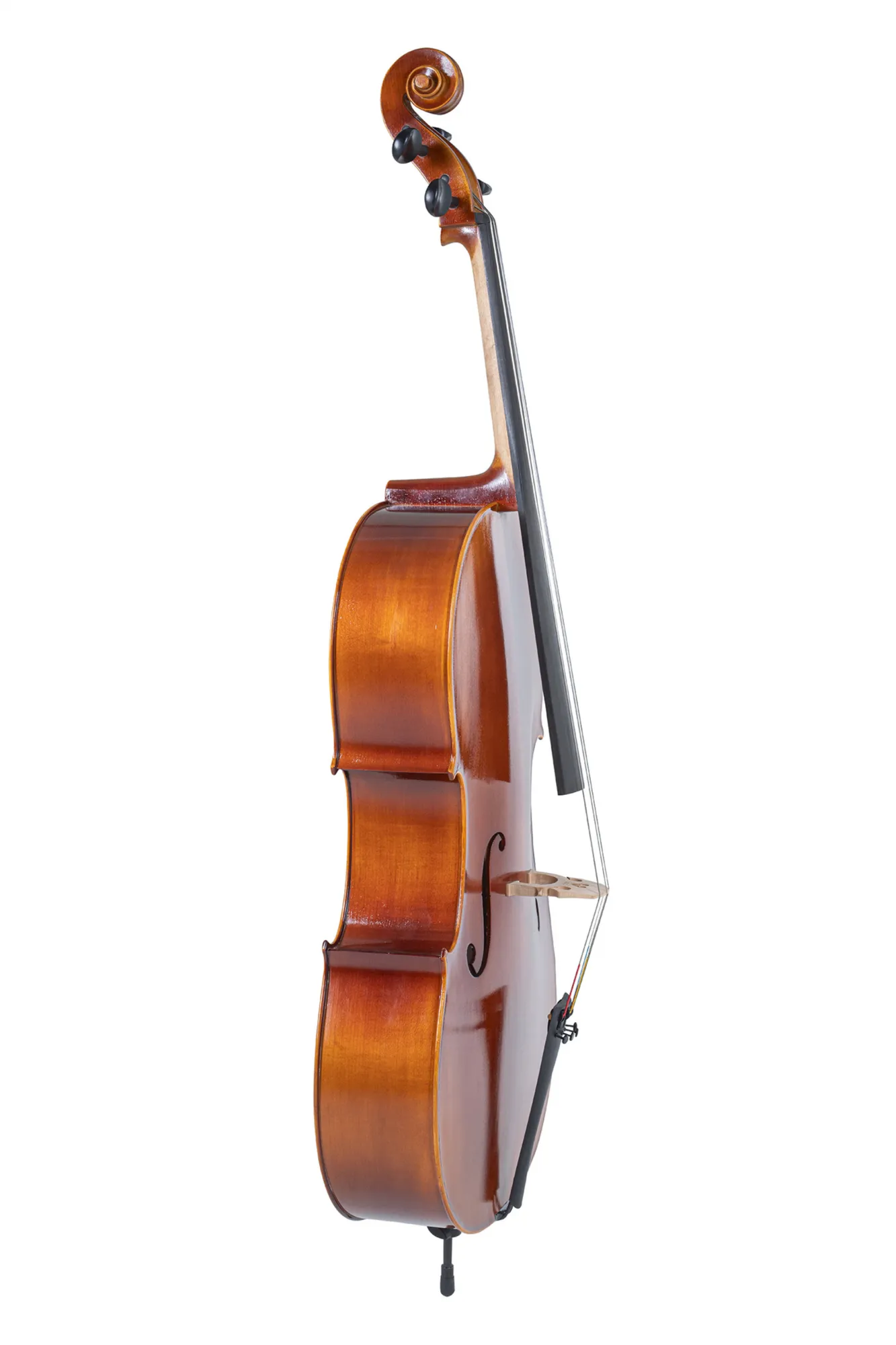 Cello Maestro 2 gut geflammt