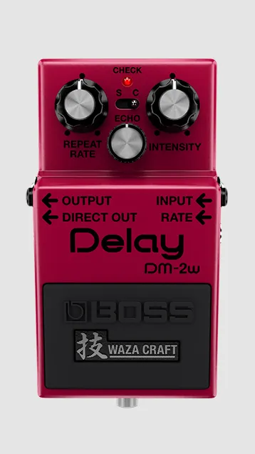 DM-2W Delay E-Gitarreneffektpedal