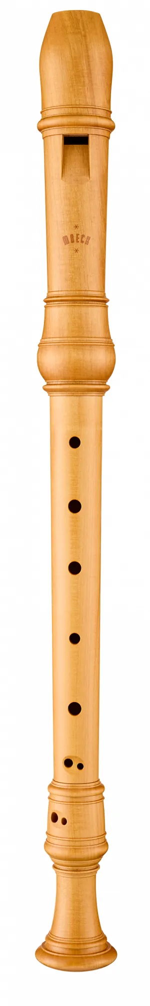 4304 Rottenburgh Alt Buchsbaum