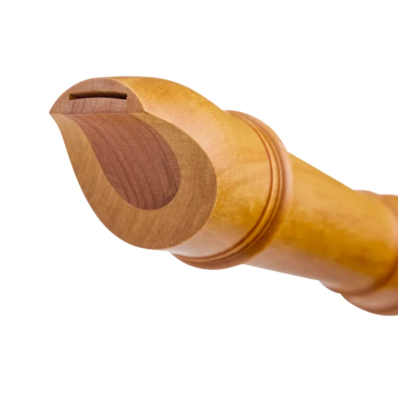 4304 Rottenburgh Alt Buchsbaum