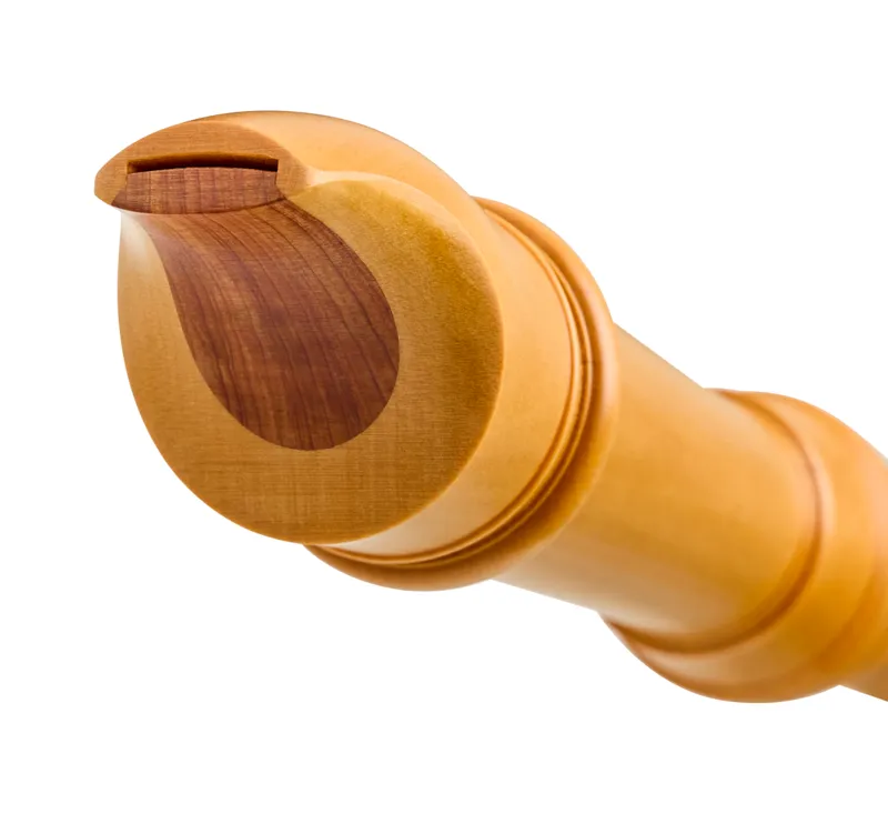 5323 Stanesby Alt Buchsbaum