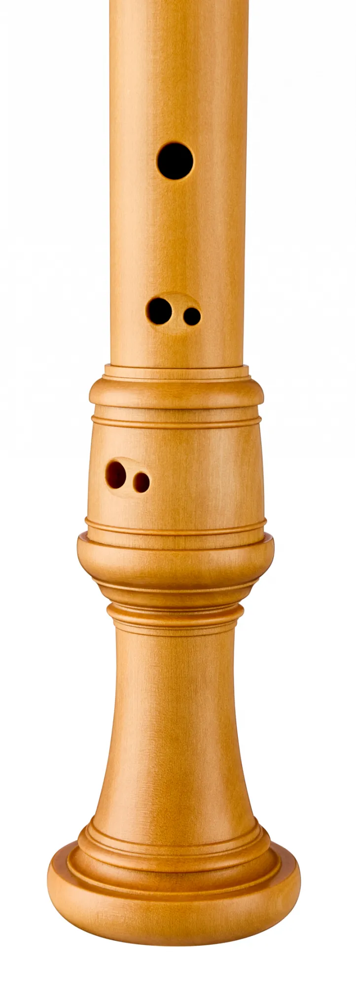 5323 Stanesby Alt Buchsbaum