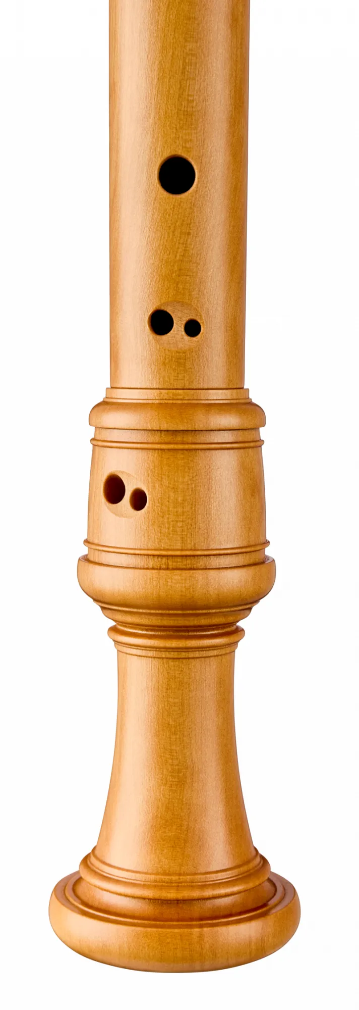 5324 Stanesby Alt Buchsbaum