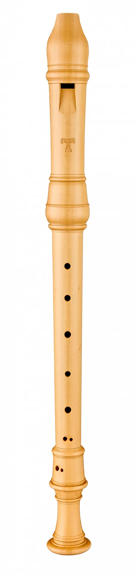 5334 Denner Alt Buchsbaum