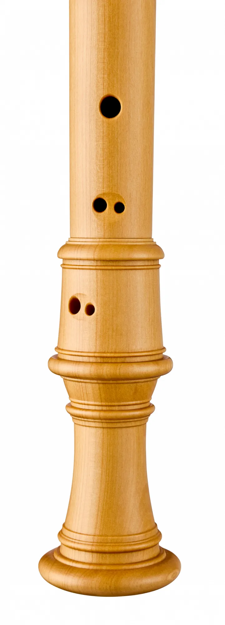 5334 Denner Alt Buchsbaum