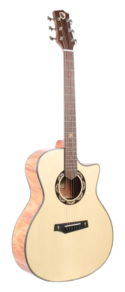 AS-GC+ Pro