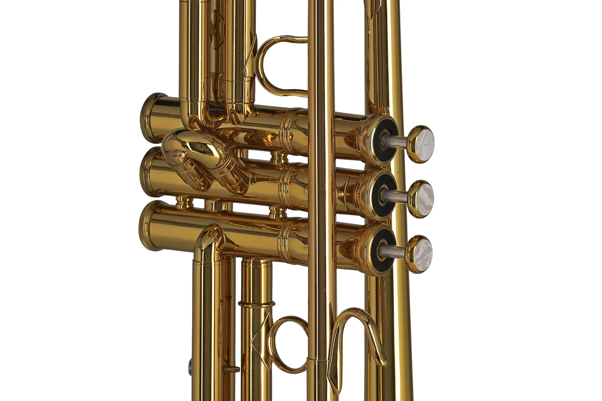 TR172 Vision Goldlack