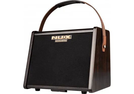 AC-25 Acoustic Amp