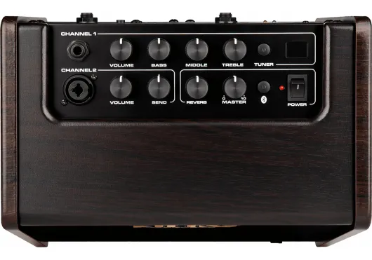 AC-25 Acoustic Amp