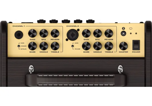 AC-80 Stageman II