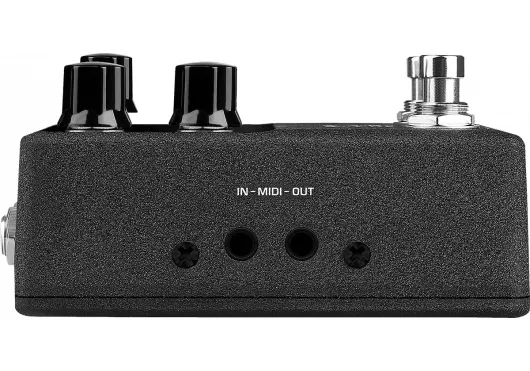 Tape Echo