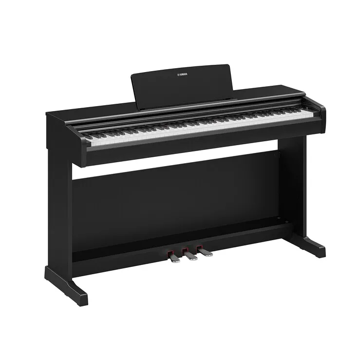 Arius YDP-146 B schwarz