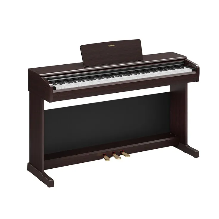 Arius YDP-146 R Rosenholz