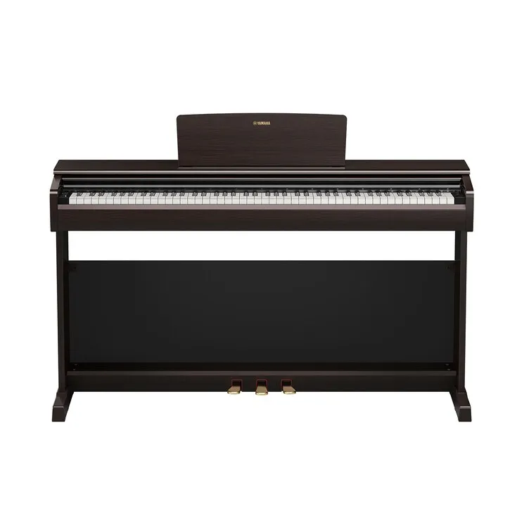 Arius YDP-146 R Rosenholz