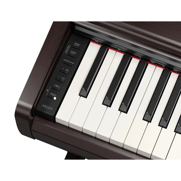 Arius YDP-146 R Rosenholz