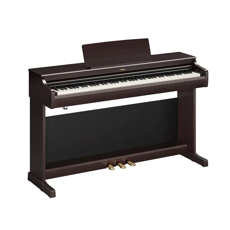 Arius YDP-166 R Rosenholz