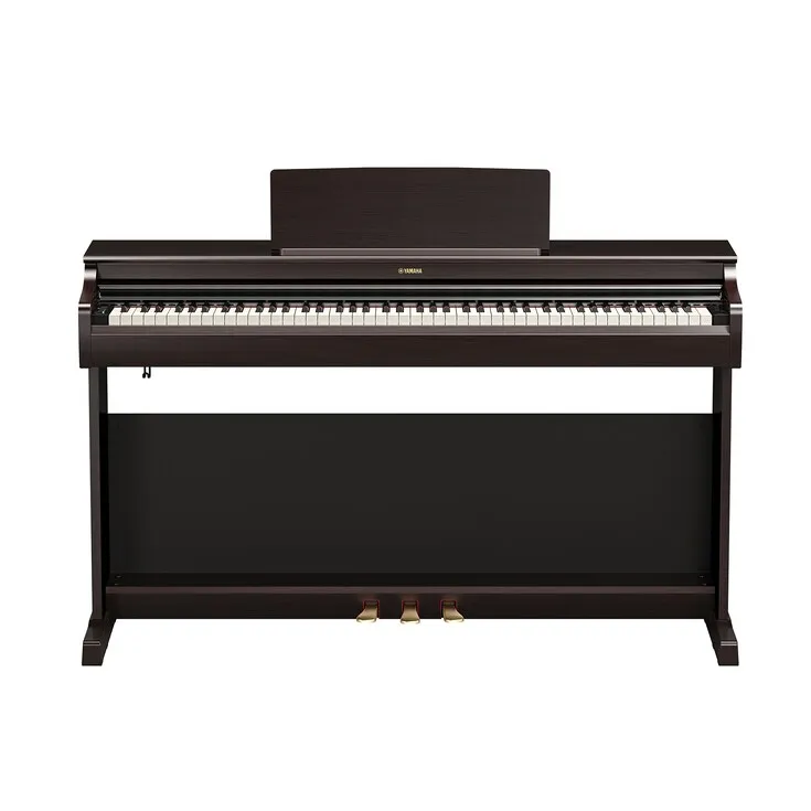Arius YDP-166 R Rosenholz