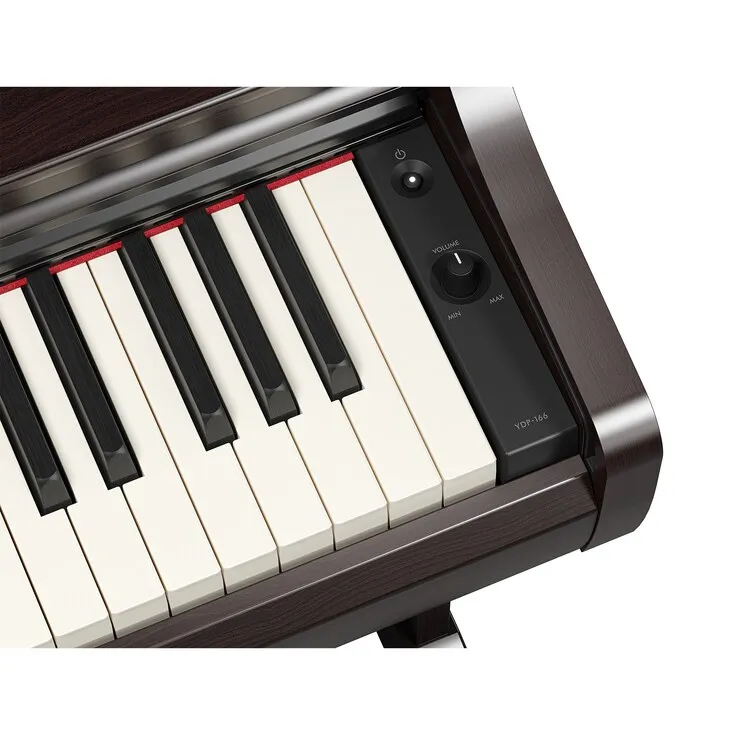 Arius YDP-166 R Rosenholz