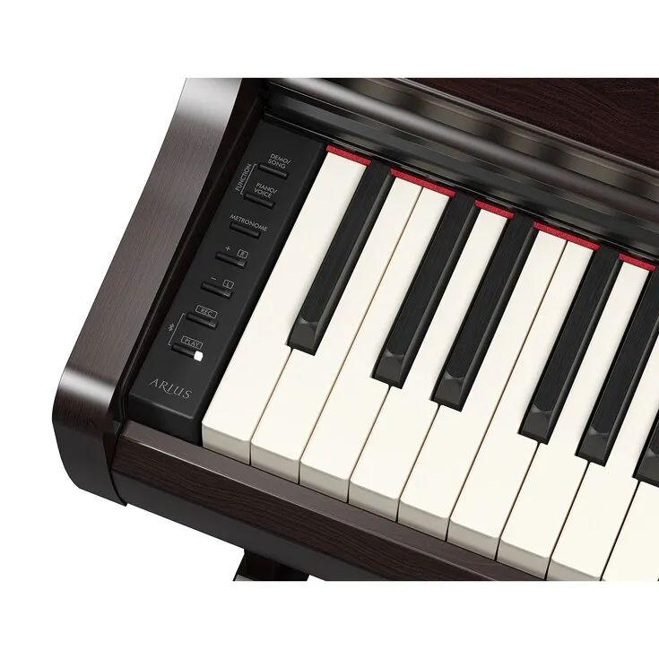 Arius YDP-166 R Rosenholz