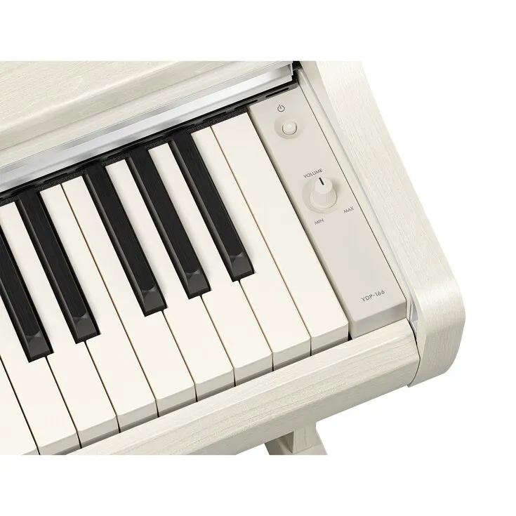 Arius YDP-166 WH Weiß Birke
