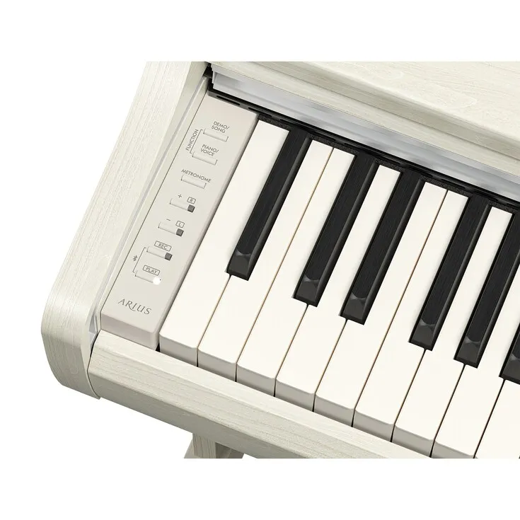 Arius YDP-166 WH Weiß Birke