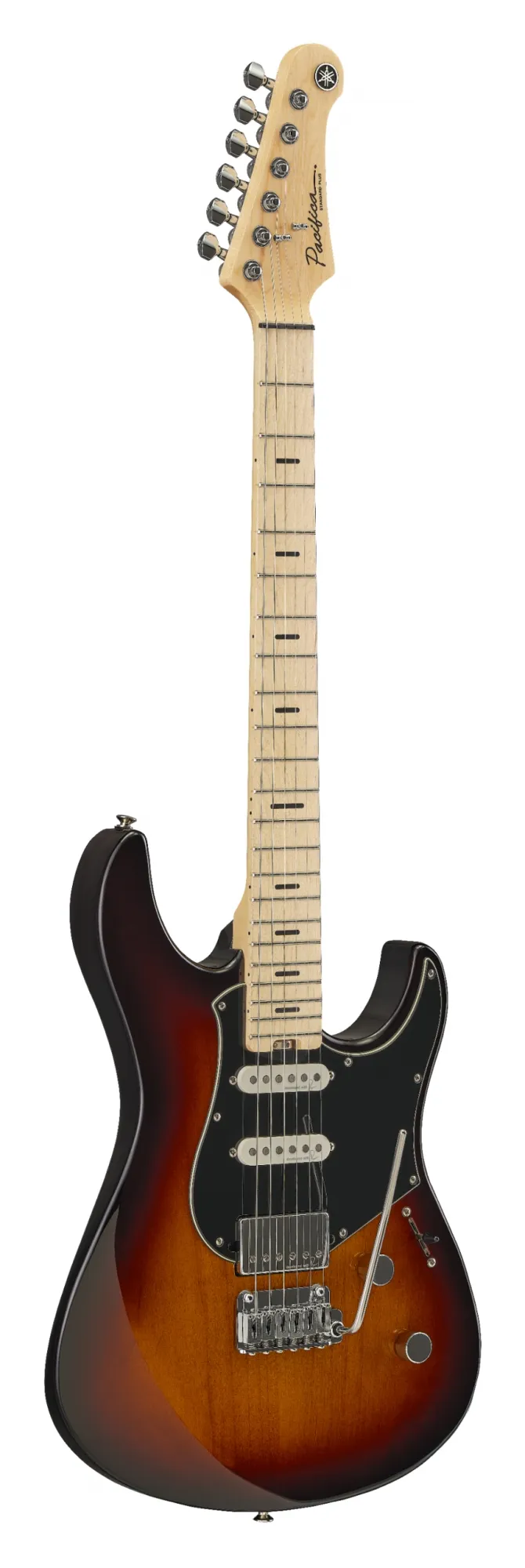 Pacifica Std+12M TBS MF