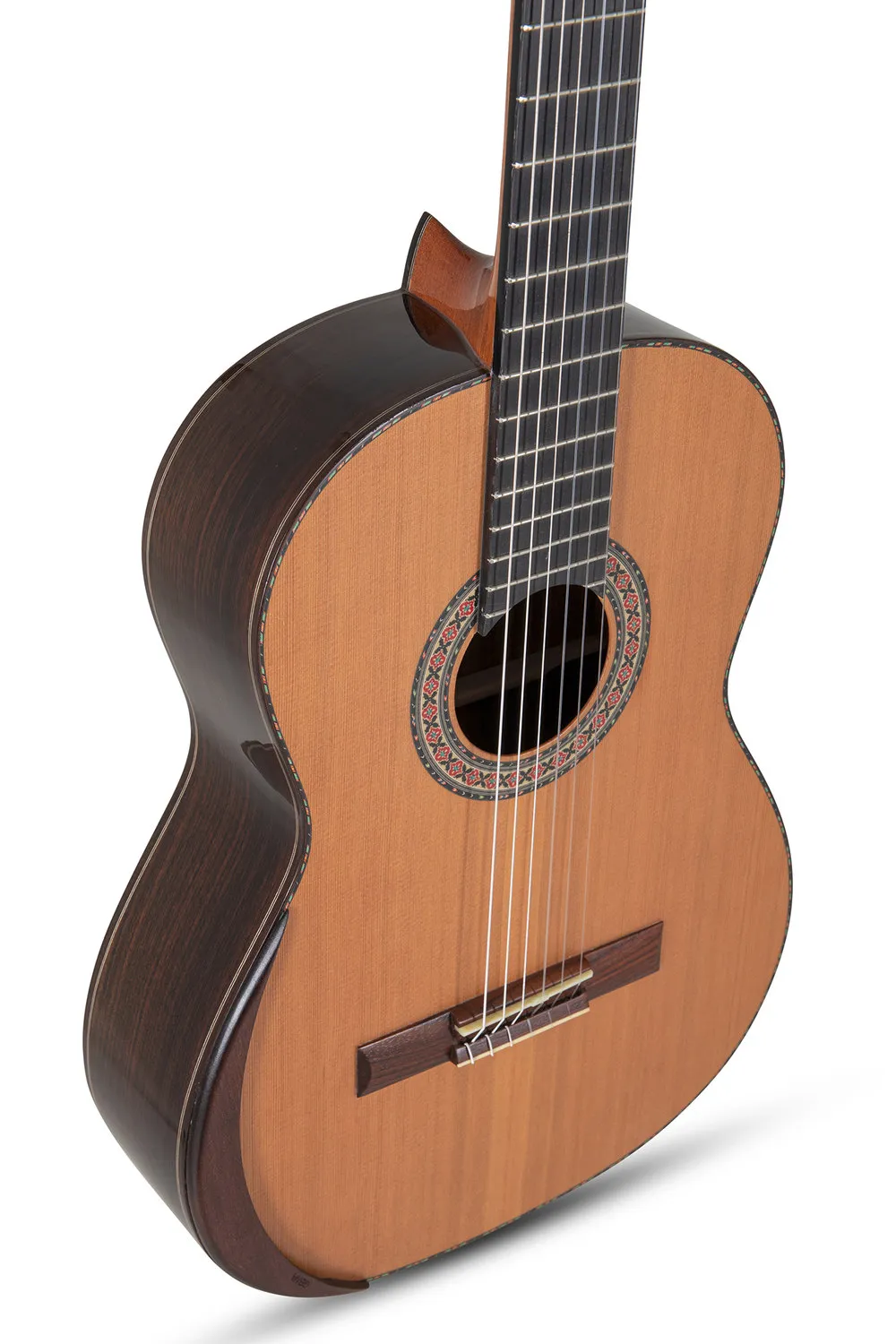 MAGISTRAL F all solid Zeder/Palisander
