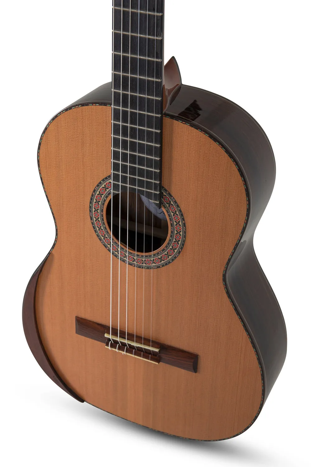 MAGISTRAL F all solid Zeder/Palisander