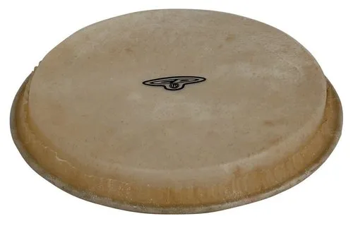 Bongofell CP Traditional 6,5 Macho